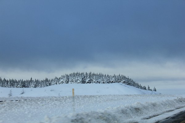 New Camera Dec2010 212